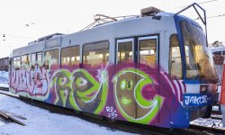 Фото транспорта в Бийск